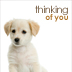 alternative text for Thinking of you #2